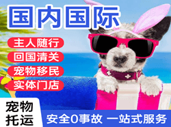 黑河空运代理国际宠物托运 【国